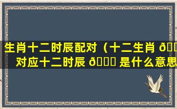 生肖十二时辰配对（十二生肖 🐱 对应十二时辰 🐛 是什么意思）